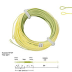 Aventik Weight Forward Fly Fishing Line Floating Trout Percerption Line Ultra Low Core 2Pcs Welded Loops (Light Green+Dark Green