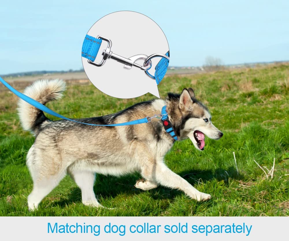 Taglory Reflective Heavy Duty Dog Leash 1 In X 4 Ft, Neoprene Padded Handle And Metal Hook Pet Training Leashes For Small Medium