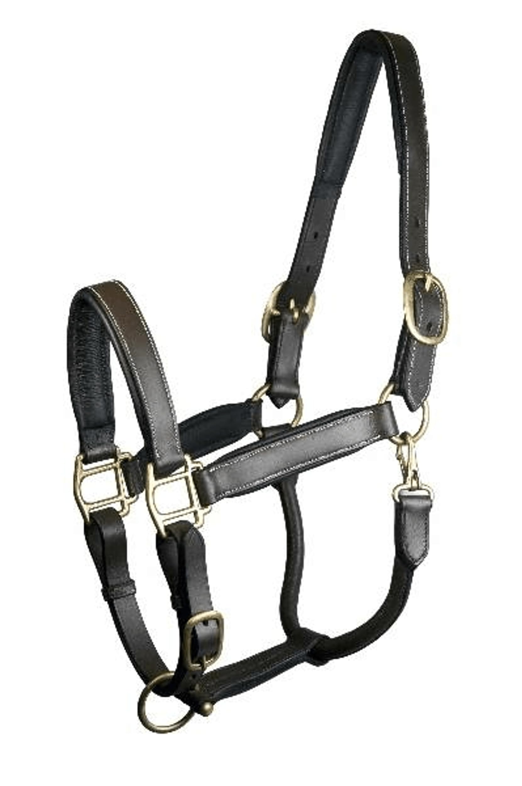 GATSBY LEATHER COMPANY 284211 Adjustable Padded Leather Halter Brown, Large Horse