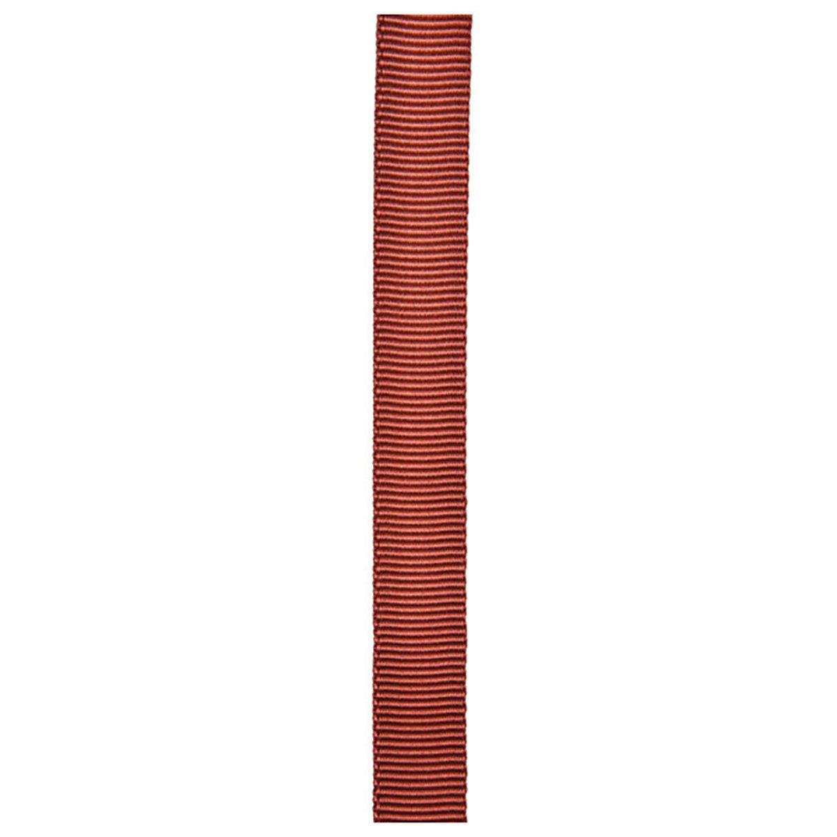 Liberty Mountain 1'' X300' Rust Tube Web
