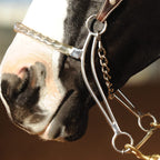 Classic Equine Carol Goostree Hackamore With Covered Chain Nosepiece, 8.75-Inch