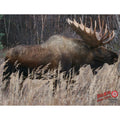 Duramesh Archery Moose Target, Brown, 25'' X 32''