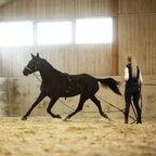 Horze Lunging Surcingle For Horses  Nylon Roller For Training - Black - Horse