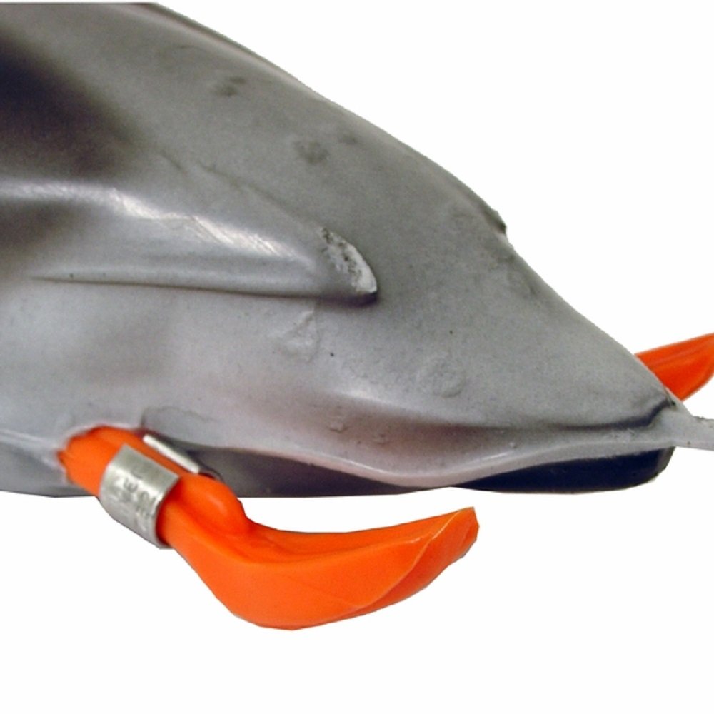 Dokken Mallard Dead Fowl