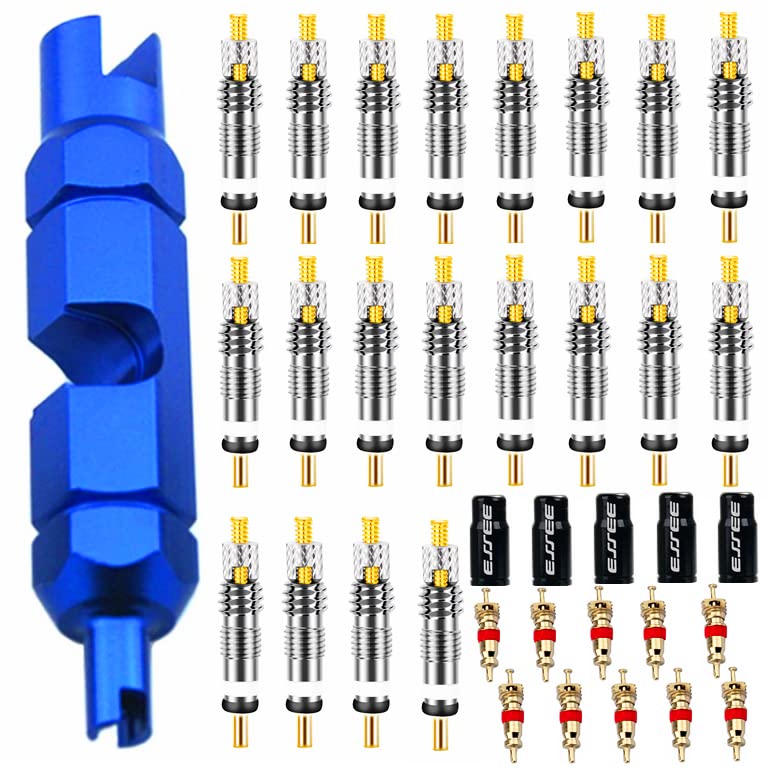 Aracey 36Pcs Valve Core Remover Tool Kit Bike And Car Valve Core Repair Tool With No-Leak Replacement Presta Valve Core And Schr