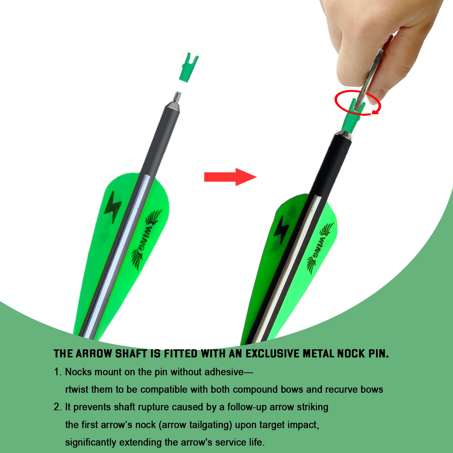 31Inch Carbon Arrow Archery Targeting Practice Hunting Arrows For Compound & Recurve Bow With Removable Tips(Pack Of 12) (Green