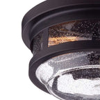 Outdoor Lght Wolfe Brnz (Pack Of 1)