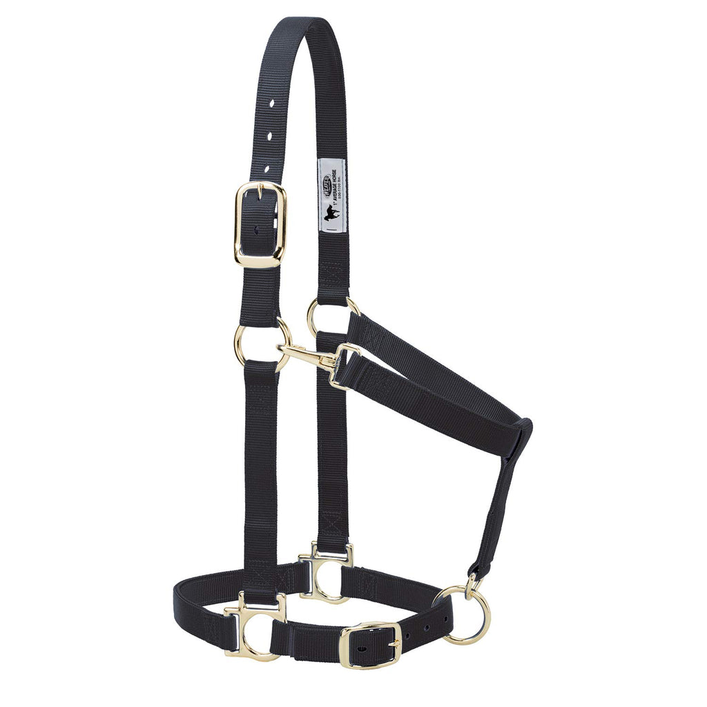 Weaver Leather Basic Adjustable Nylon Halter, Black, 1'' Large Horse