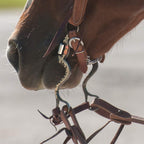 8 Cavalry Cheek Ported Twisted Wire Bit