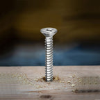 10 X 12 Wood Screw 100Pcs 18-8 (304) Stainless Steel Screws Flat Head Phillips Fast Self Tapping Drywall Screws By Sg Tzh