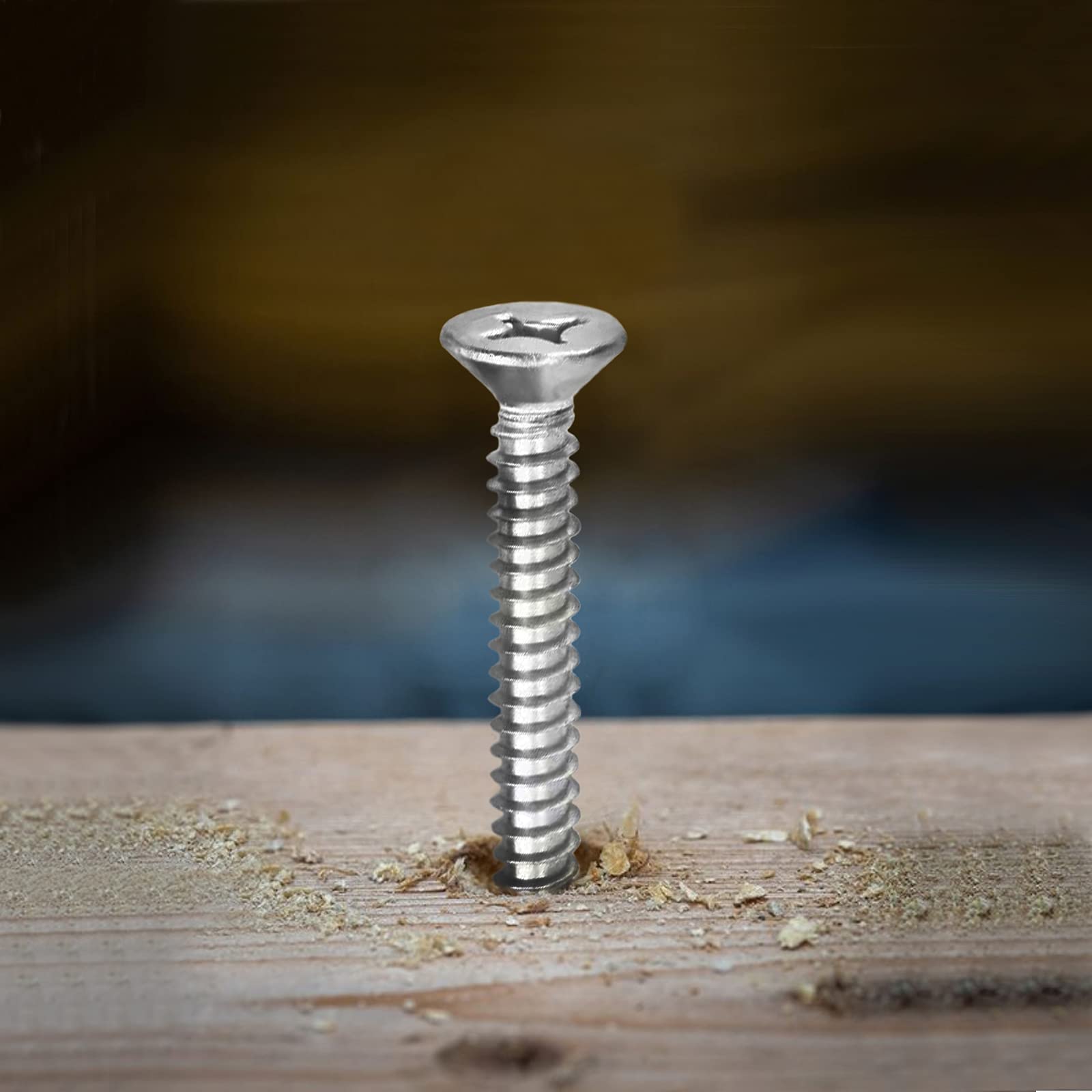 10 X 12 Wood Screw 100Pcs 18-8 (304) Stainless Steel Screws Flat Head Phillips Fast Self Tapping Drywall Screws By Sg Tzh