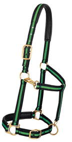 Weaver Leather Padded Adjustable Nylon Horse Halter, Green, 1'' Large Horse