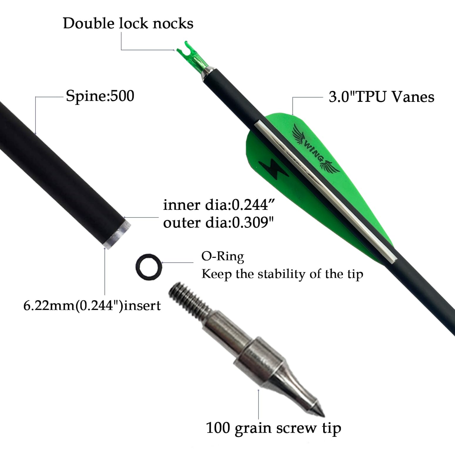 31Inch Carbon Arrow Archery Targeting Practice Hunting Arrows For Compound & Recurve Bow With Removable Tips(Pack Of 12) (Green