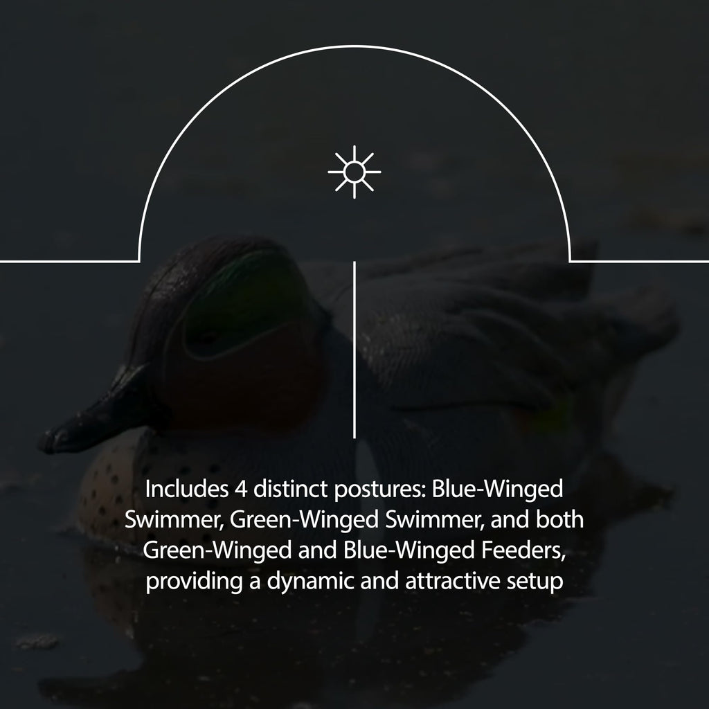 Avian X Topflight Early Season Teal With True To Life Postures And Rugged Design For Hunting Purposes, Outdoor Sports, And Recre