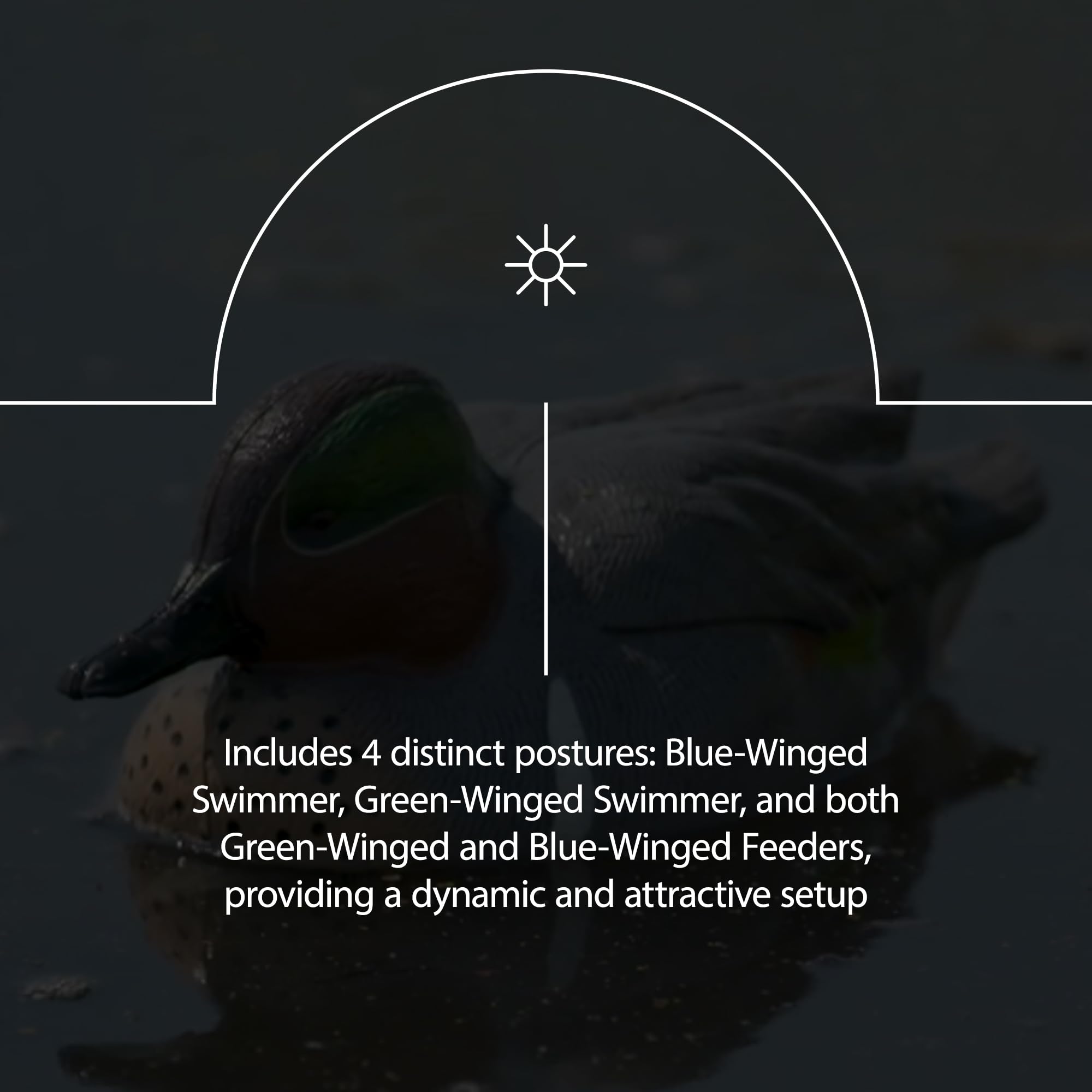 Avian X Topflight Early Season Teal With True To Life Postures And Rugged Design For Hunting Purposes, Outdoor Sports, And Recre