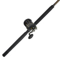 Penn Squall Ii Level Wind Conventional Reel And Fishing Rod Combo, Black/Gold