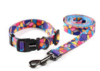 Ihoming Dog Collar And Leash Set For Daily Outdoor Walking Running Training, Geometric Design For Medium Boys Girls Dogs Cats Pe
