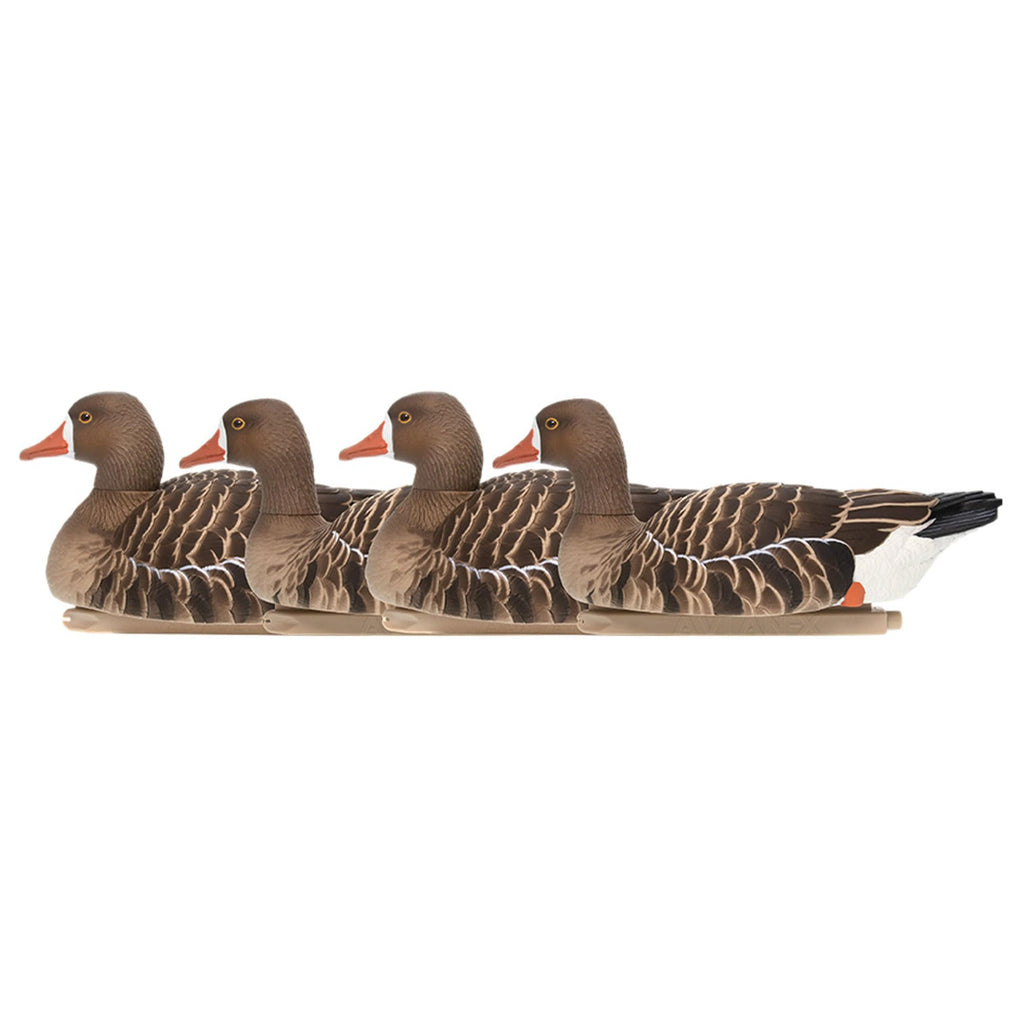 Avian-X Topflight Specklebelly Floating Goose Decoys With True To Life Postures For Hunting Use, Outdoor Sports, And Recreation