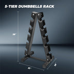 Ritfit 300/350/450/220 Lb Rubber Hex Dumbbells Set With Optional Dumbbell Rack, Multi Weight Set To Choose, Ideal For Home Gym A