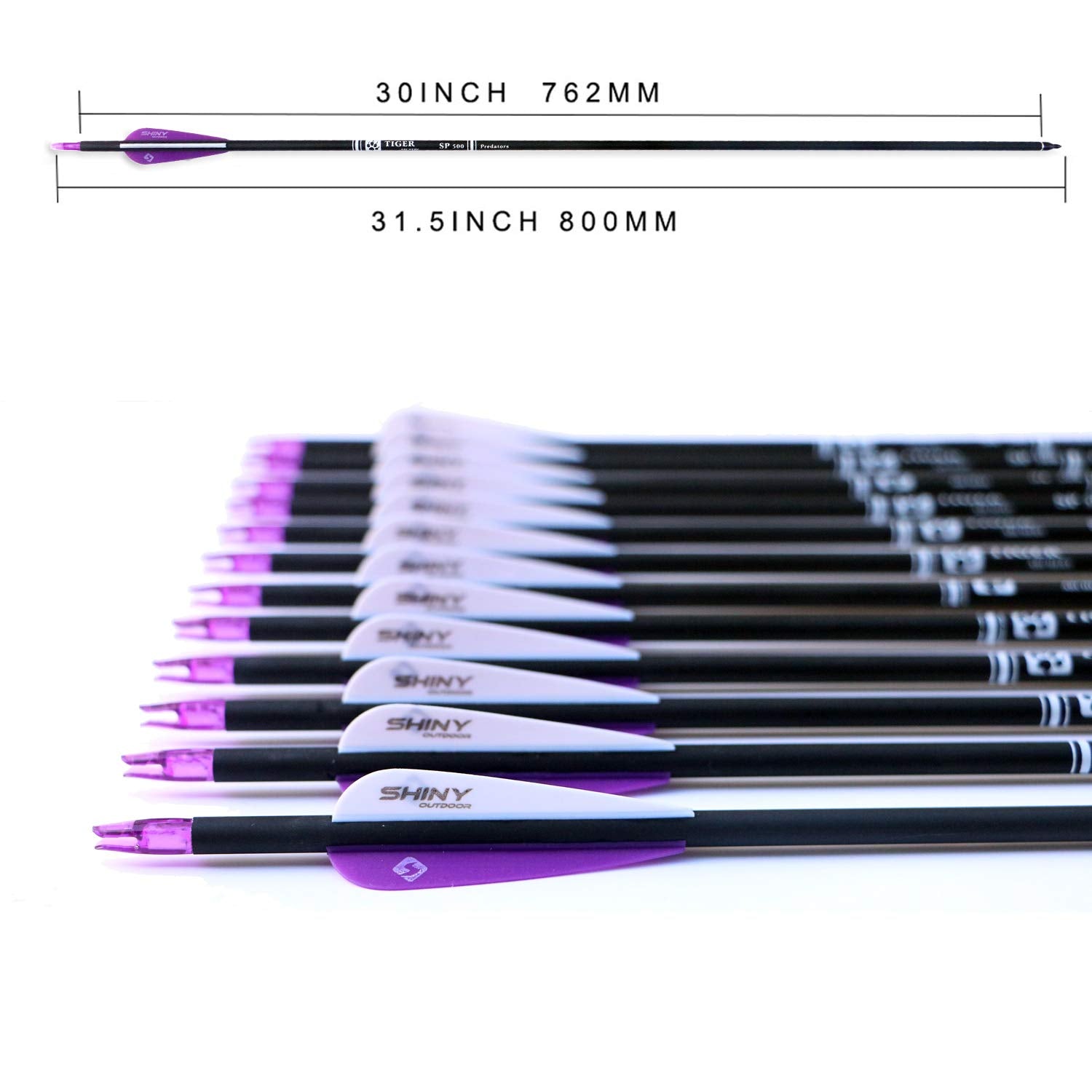 Tiger Archery 30Inch Carbon Arrow Practice Hunting Arrows With Removable Tips For Compound & Recurve Bow(Pack Of 12) (Purple Whi