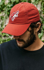 American Needle Blue Line Nhl Team Dad Hat, Arizona Phoenix Coyotes, Cardinal Red (40742A-Pco)