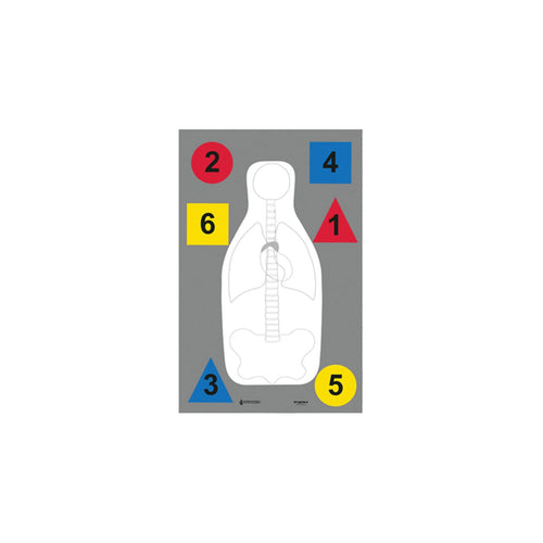 ACTION TARGETS DT-Antq-A FBI-Q Plus VTL ANAT TRGT 10