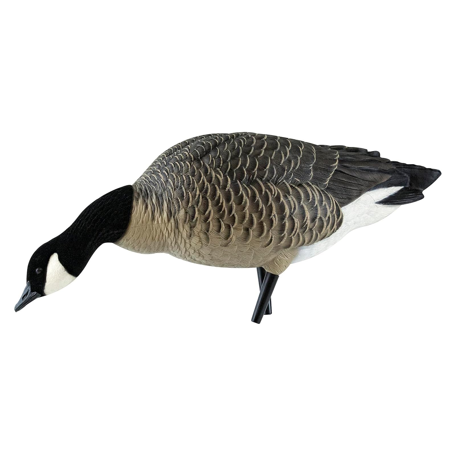 Avian X Axp Honkers Fusion Pack Lesser Canada Goose Decoys, Oversized Realistic Feeder Bodies, Flocked Heads, And Slotted Decoy