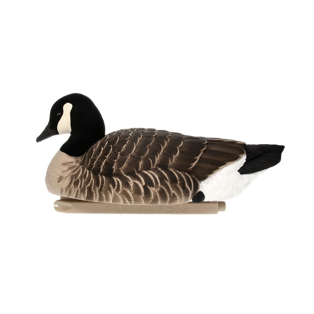 Avian-X Topflight Lessers Floating Goose Hunting Decoys With True To Life Postures For Hunting Purposes, Outdoor Sports, And Rec