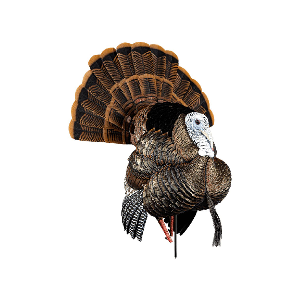 Avian-X Hdr Strutter Turkey Decoy