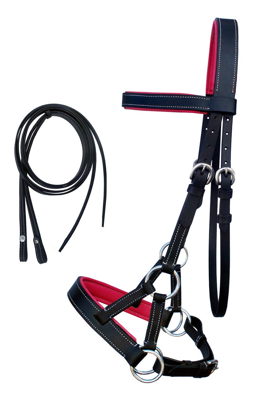 Challenger Horse Western Cob Leather Training Tack Bitless Sidepull Bridle W/Reins 7711Pk-C