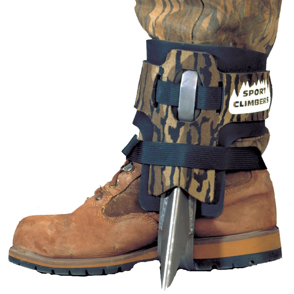 Pair of Sport Climbers