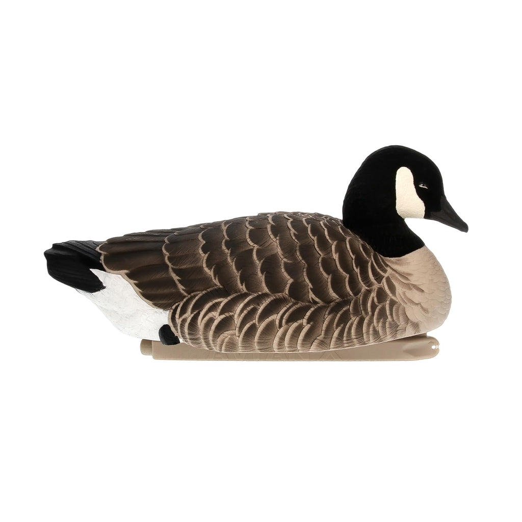 Avian-X Topflight Lessers Floating Goose Hunting Decoys With True To Life Postures For Hunting Purposes, Outdoor Sports, And Rec