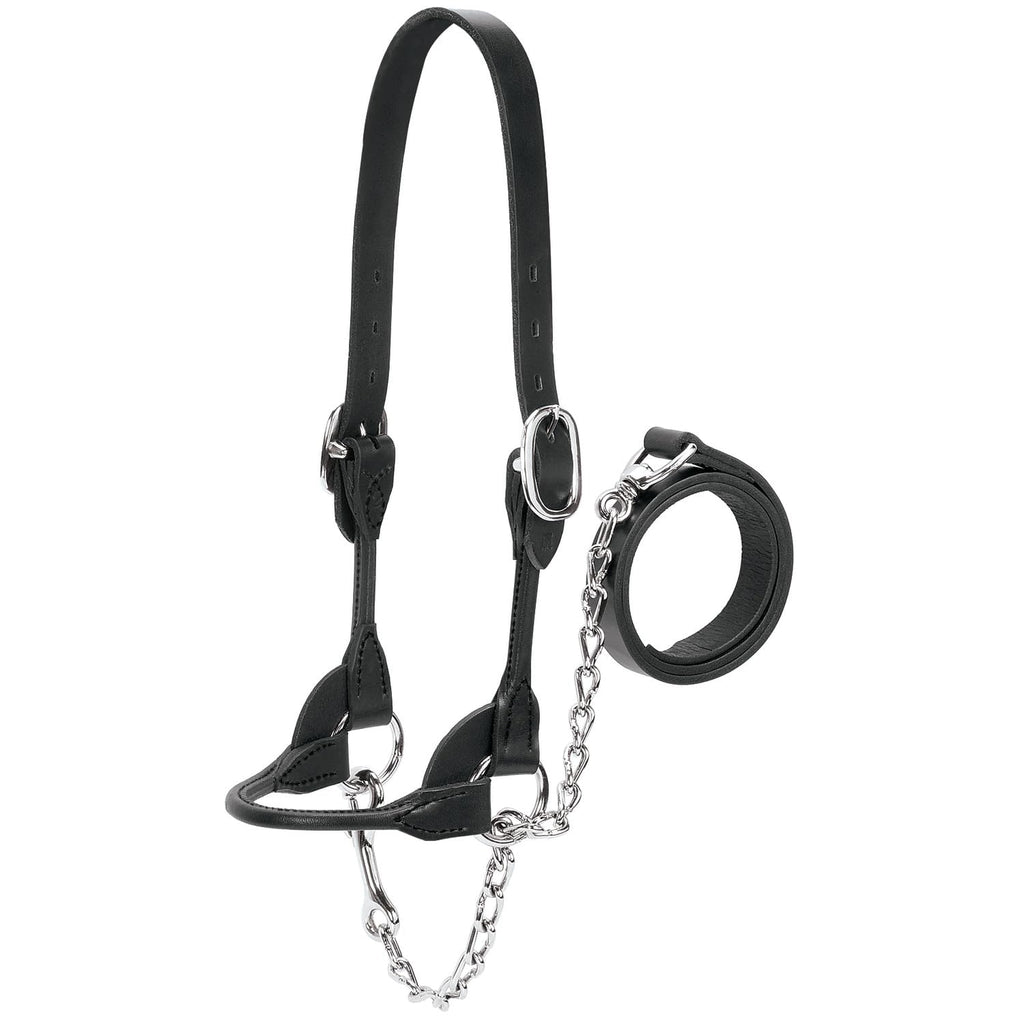 Weaver Leather Livestock Dairy/Beef Rounded Show Halter Black, Medium
