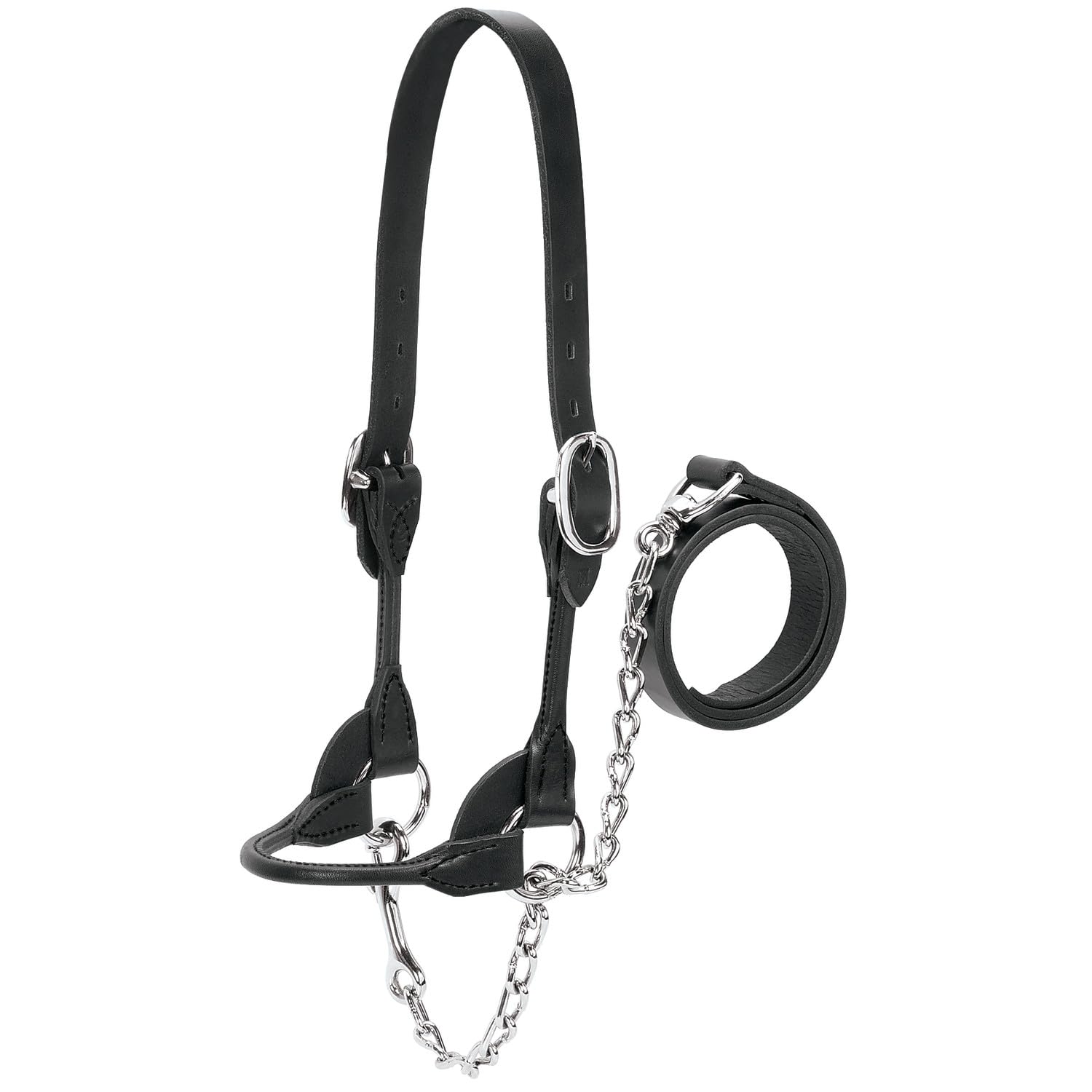 Weaver Leather Livestock Dairy/Beef Rounded Show Halter Black, Medium