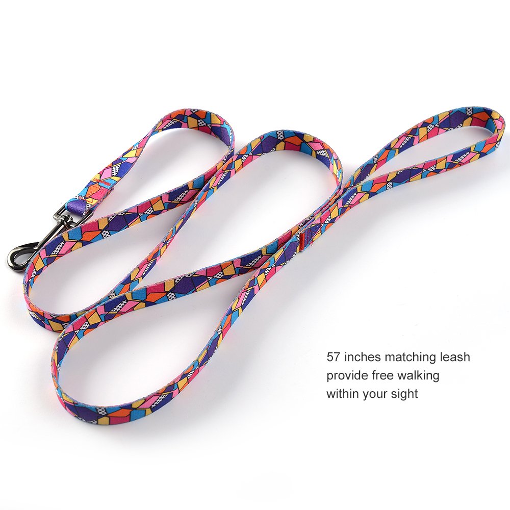 Ihoming Dog Collar And Leash Set For Daily Outdoor Walking Running Training, Geometric Design For Medium Boys Girls Dogs Cats Pe