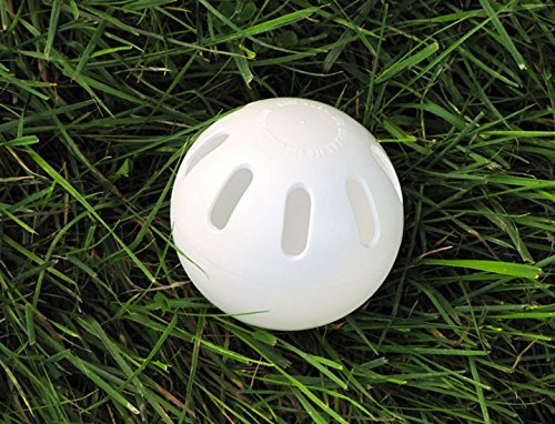 Wiffle Ball Original Brand Baseballs, Regulation Baseball Size, 24 Count
