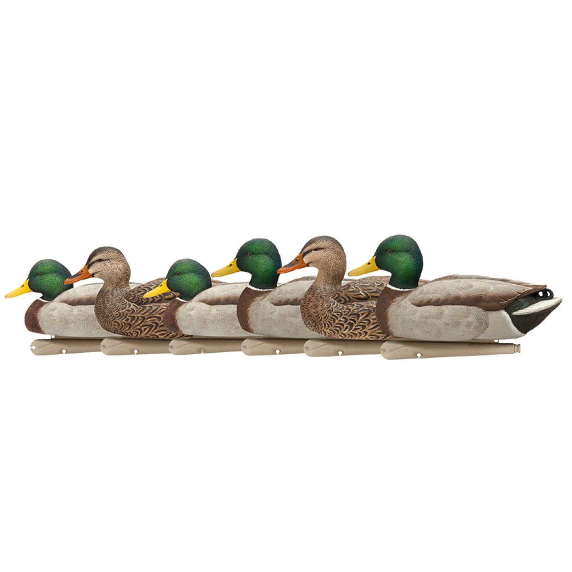 Avian X Top Flight Open Water Mallard Duck Decoys, Ultra Realistic Floating Hunting Decoys With Weight Forward Swim Keel, Multic