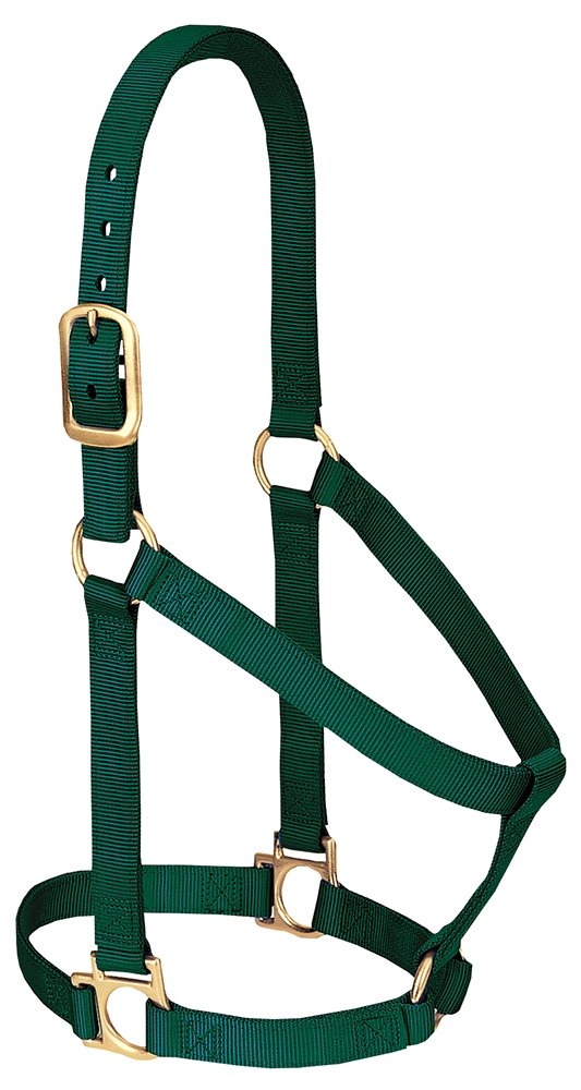Weaver Leather Basic Non-Adjustable Nylon Horse Halter, Hunter Green, 1 Small Horse