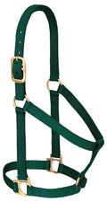 Weaver Leather Basic Non-Adjustable Nylon Horse Halter, Hunter Green, 1 Large Horse