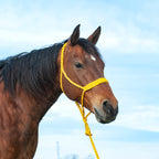 Cashel Flat Braid Halter And Leadrope, Gold