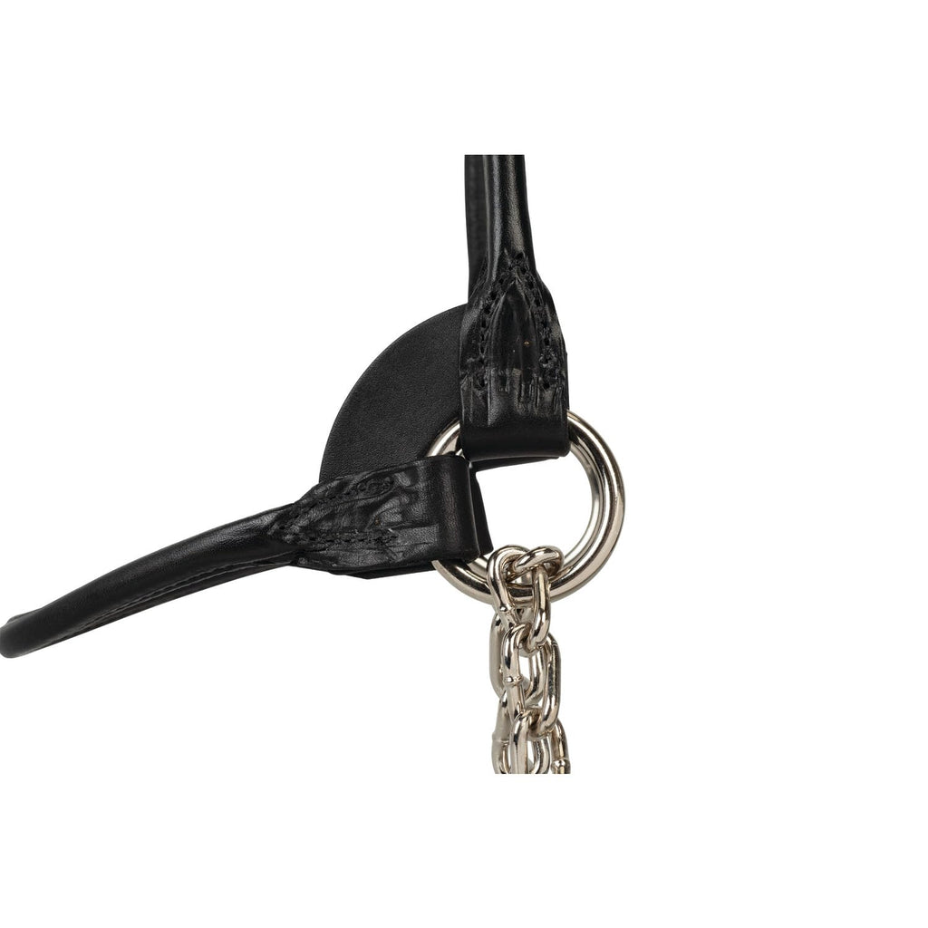 Weaver Leather Livestock Dairy/Beef Rounded Show Halter Black, Medium