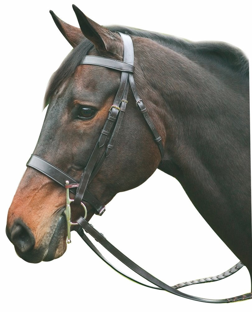 Henri de Rivel Pro Hunt Bridle Cob Havana
