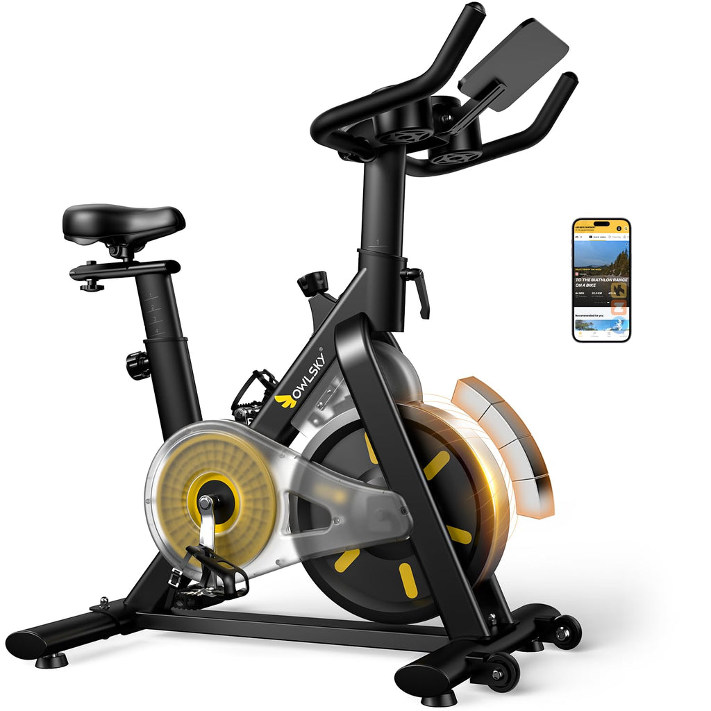 OWLSKY Exercise Bike with APP, Magnetic Resistance Indoor Cycling Bike, 300 lbs Capacity Quiet Stationary Bike for Home Gym Card