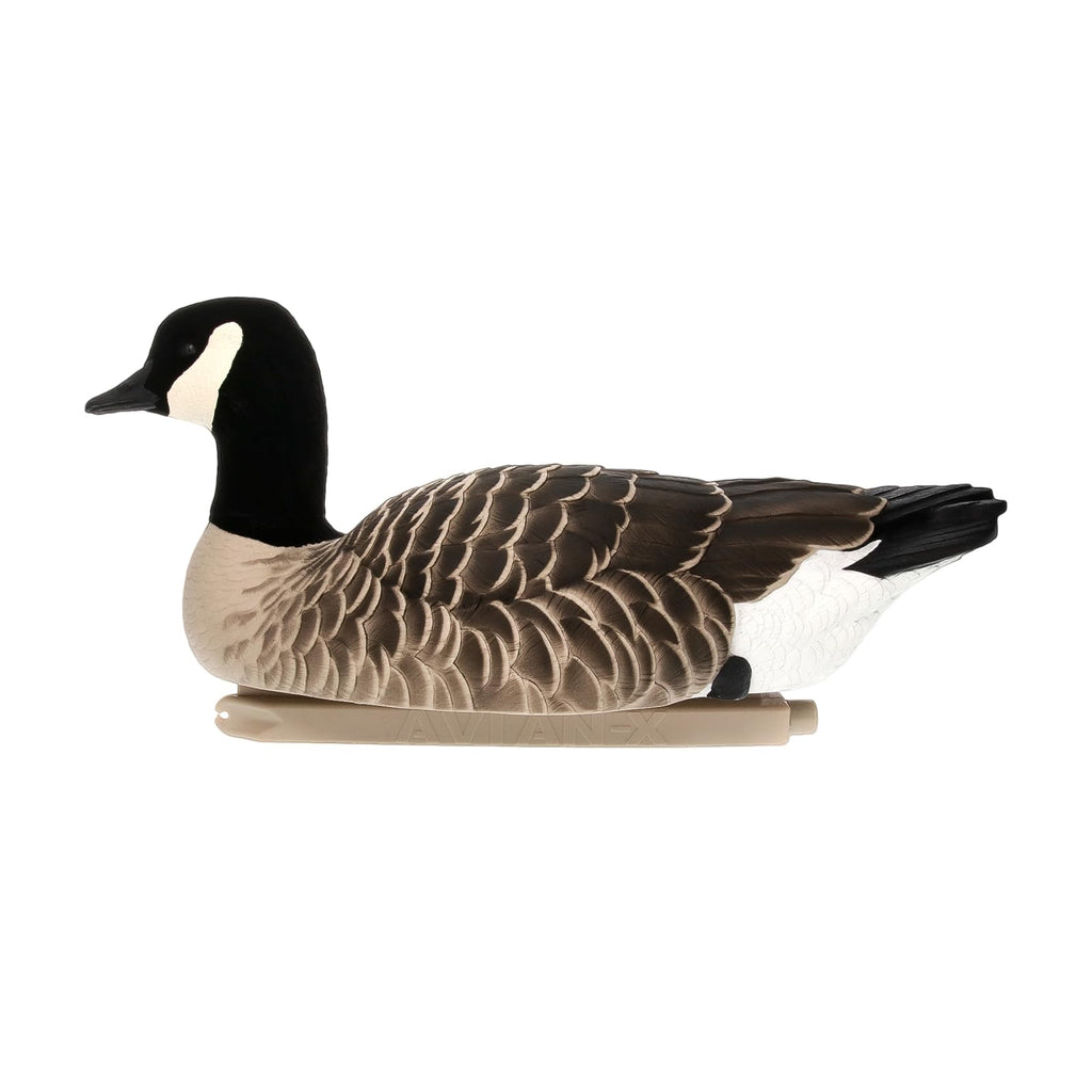 Avian-X Topflight Lessers Floating Goose Hunting Decoys With True To Life Postures For Hunting Purposes, Outdoor Sports, And Rec