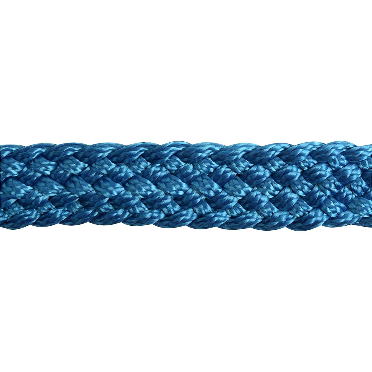 Cashel Flat Braid Halter And Leadrope, Blue
