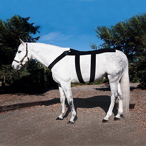 Ice Horse Back Blanket for Equine Therapy - Comes with 10 Ice Packs Inserts