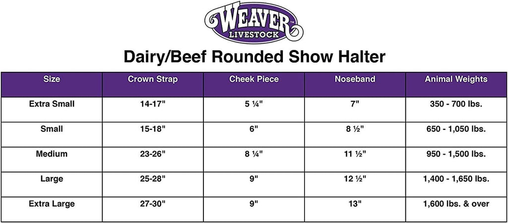 Weaver Leather Livestock Dairy/Beef Rounded Show Halter, Medium, Brown