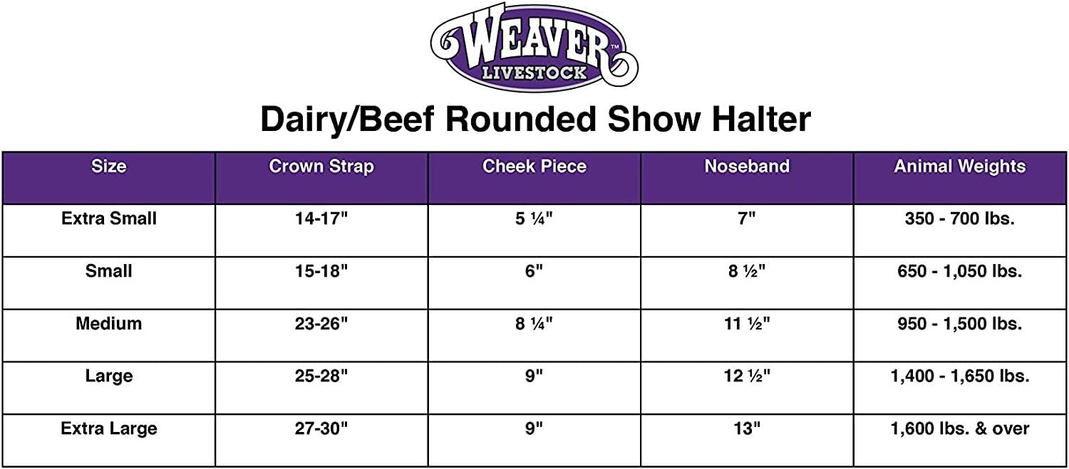 Weaver Leather Livestock Dairy/Beef Rounded Show Halter, Medium, Brown