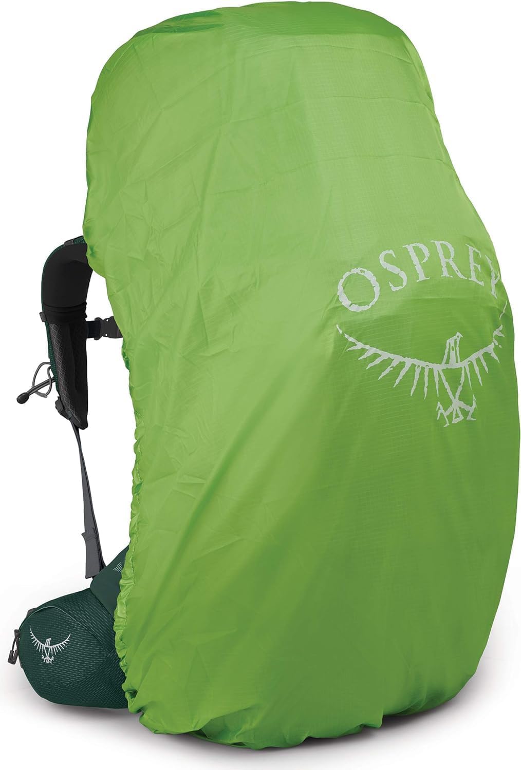 Osprey Aether Plus 100L Mens Backpacking Backpack, Axo Green, L/XL