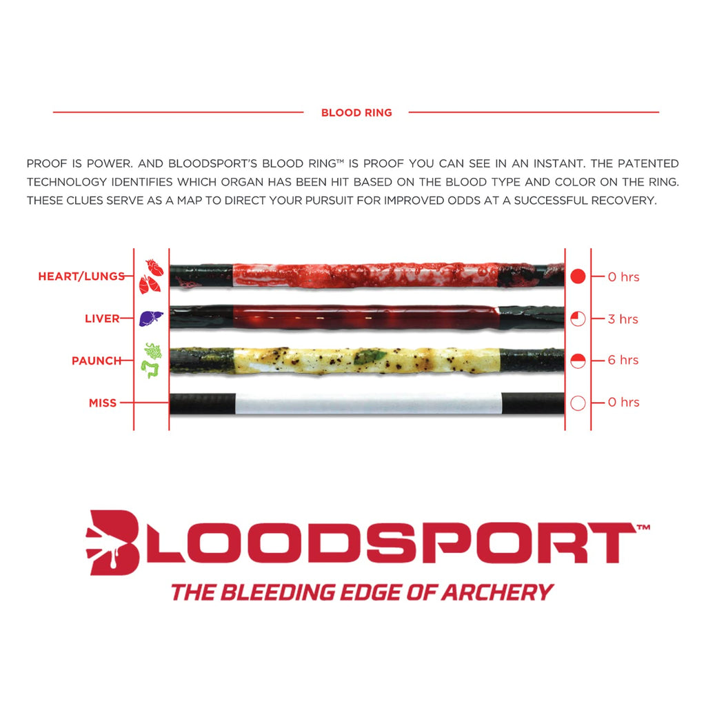 Bloodsport Evidence Arrow, 165'' Micro-Diameter, 001'' Straightness, 6 Pack, 500 Spine